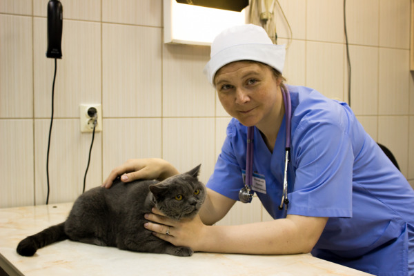 Ветеринарный врач