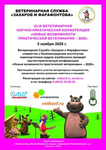 Новости ветклиники Новости ветклиники
