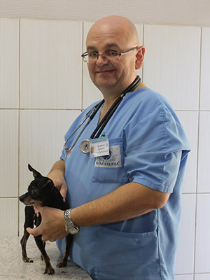 Ветеринар клиники «Захаров и Фарафонтова» в Калининграде