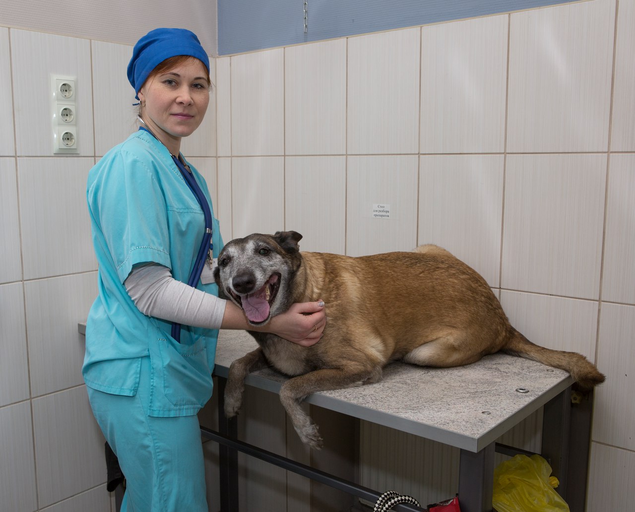 Ветеринарная клиника «Захаров и Фарафонтова» в Калининграде: 68-68-58 круглосуточно