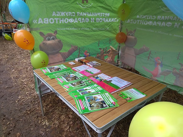 Соревнования по ездовому спорту в Калининграде