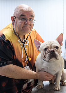 Статьи ветклиники