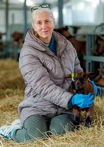 Статьи ветклиники