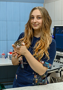 Статьи ветклиники