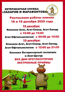 Новости ветклиники Новости ветклиники