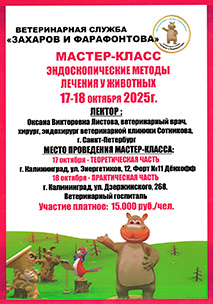 Новости ветклиники