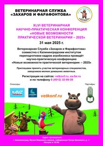 Новости ветклиники
