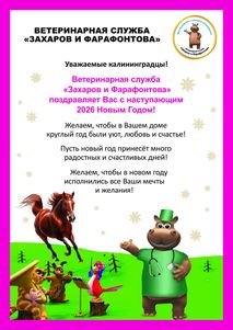 Новости ветклиники