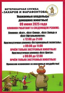 Новости ветклиники