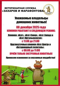 Новости ветклиники Новости ветклиники