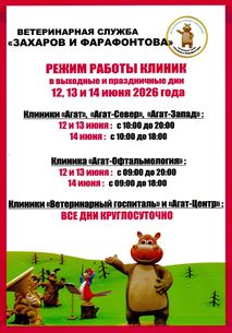 Новости ветклиники Новости ветклиники