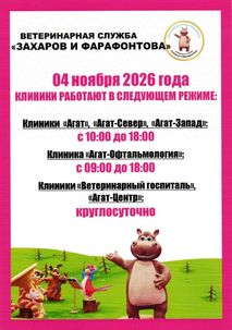 Новости ветклиники Новости ветклиники