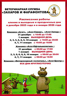 Новости ветклиники Новости ветклиники