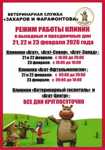 Новости ветклиники