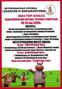 Новости ветклиники